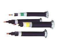 额定电压450/750V及以下控制电缆